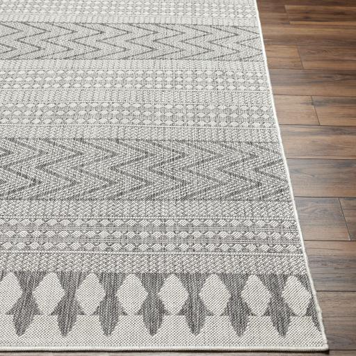Surya Long Beach LBH-2321 Charcoal Ivory 5'3" x 7' Rug