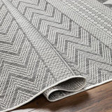 Surya Long Beach LBH-2321 5'3" x 7' Rug