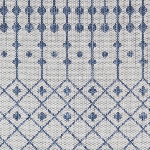 Surya Long Beach LBH-2330 2'7" x 7'3" Rug