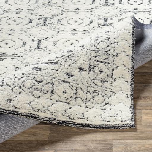 Surya Louvre LOU-2303 2'6" x 8' Rug