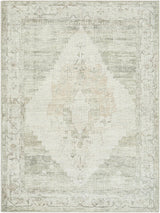 Surya Luca BONC-2302 2'2" x 3'9" Rug