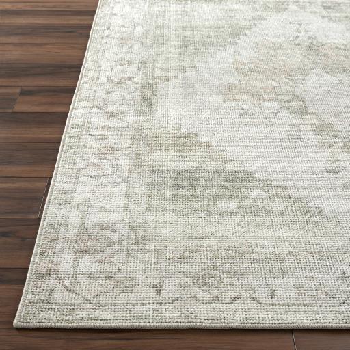 Surya Luca BONC-2302 2'2" x 3'9" Rug