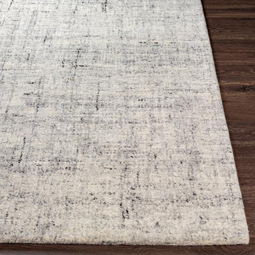 Surya Lucca LCA-2300 Black Cream 2' x 3' Rug