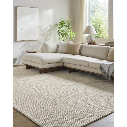Surya Lucerne LNE-1000 2' x 3' Rug