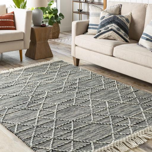 Surya Lucia LCI-2300 2'3" x 3'9" Rug