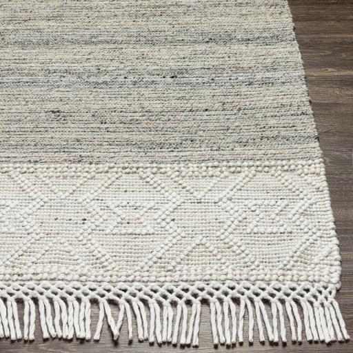 Surya Lucia LCI-2302 2'3" x 3'9" Rug