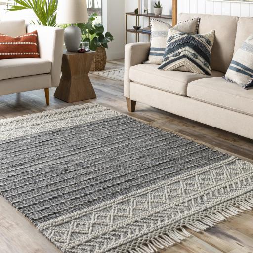 Surya Lucia LCI-2304 2'3" x 3'9" Rug