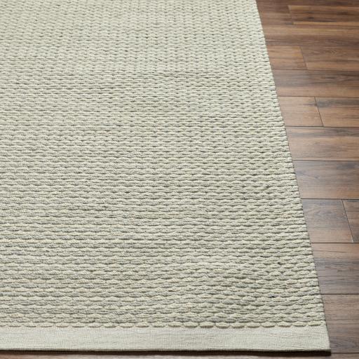 Surya Lumi LUM-2301 Black Cream 2' x 3' Rug