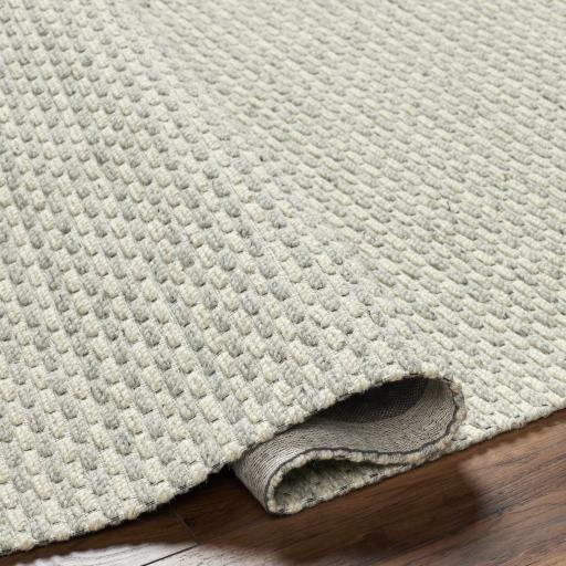 Surya Lumi LUM-2301 2' x 3' Rug