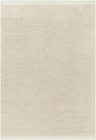 Surya Lumi LUM-2303 2' x 3' Rug