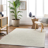 Surya Lumi LUM-2303 2' x 3' Rug