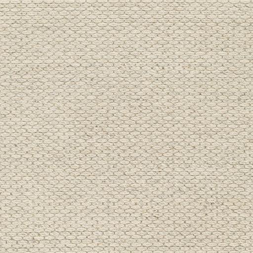 Surya Lumi LUM-2303 2' x 3' Rug