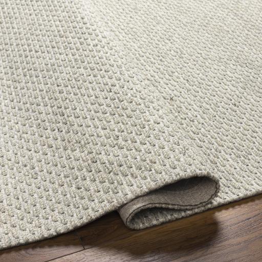 Surya Lumi LUM-2304 2' x 3' Rug
