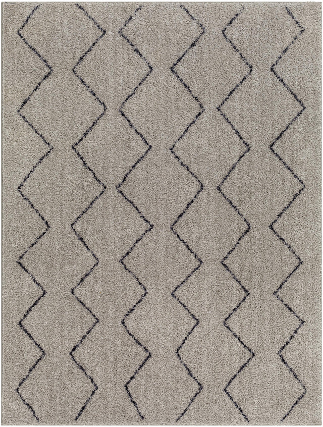 Surya Lykke LKK-2304 Black Light Gray 2'7" x 4' Rug