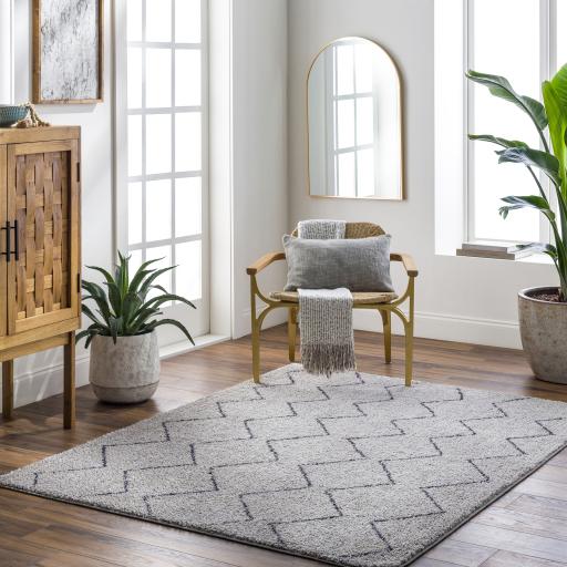 Surya Lykke LKK-2304 Black Light Gray 2'7" x 4' Rug