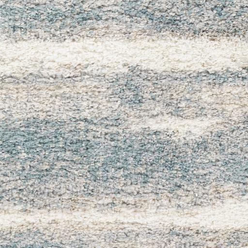 Surya Lyra Shag LYR-2300 2' x 2'11" Rug
