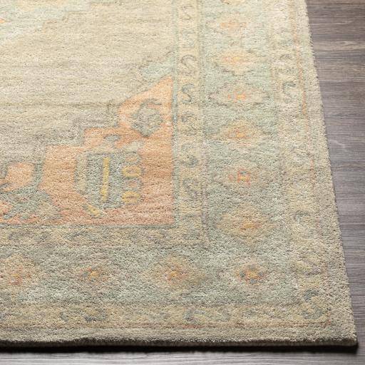 Surya Malatya MTY-2301 Beige Dusty Coral 2' x 3' Rug