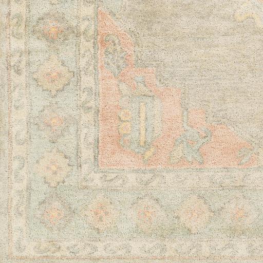 Surya Malatya MTY-2301 2' x 3' Rug