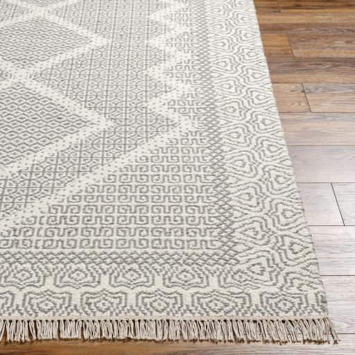 Surya Mardin MDI-2316 Beige Gray 2' x 3' Rug