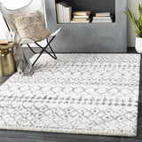Surya Maroc Shag MRS-2310 6'7" x 6'7" Rug