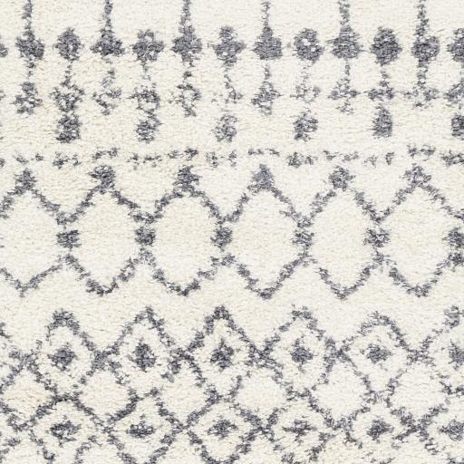 Surya Maroc Shag MRS-2310 6'7" x 6'7" Rug