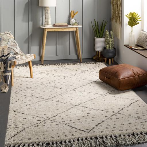 Surya Meknes MEK-1004 8' x 10' Rug