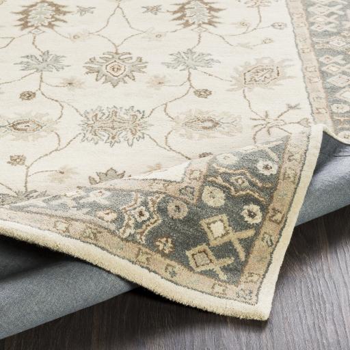 Surya Middleton AWHR-2050 2' x 3' Rug
