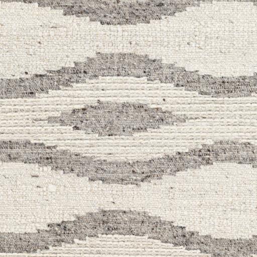 Surya Bremen BEN-2303 2' x 3' Rug