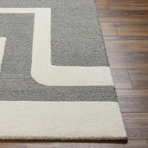 Surya Brook BKO-2302 Beige Charcoal 2' x 3' Rug