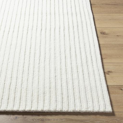 Surya Brook BKO-2326 2' x 3' Rug