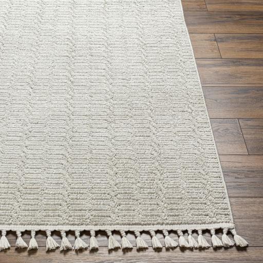 Surya Finland FND-2310 9'2" x 12' Rug