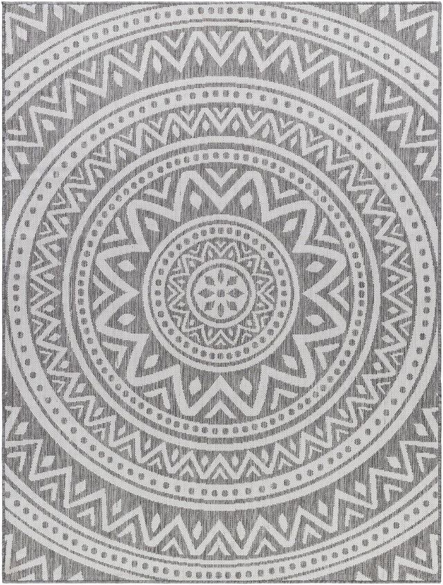 Surya Long Beach LBH-2317 2'7" x 7'3" Rug
