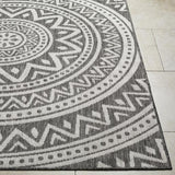 Surya Long Beach LBH-2317 Charcoal Ivory 2'7" x 7'3" Rug