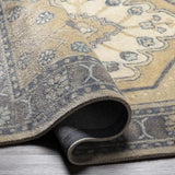 Surya Malatya MTY-2300 2' x 3' Rug