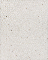 Surya Medora MOD-1005 2' x 3' Rug