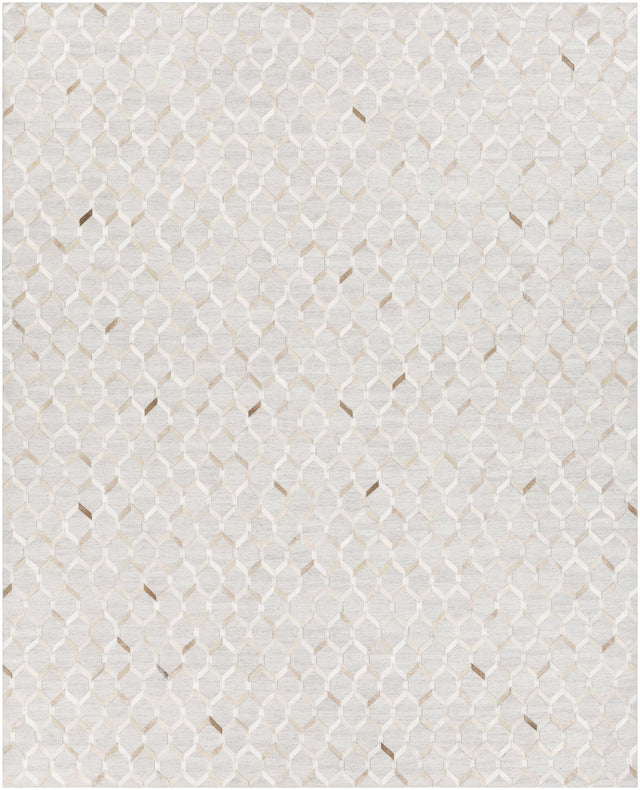 Surya Medora MOD-1005 2' x 3' Rug