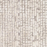 Surya Montclair MTC-2304 4' x 6' Rug