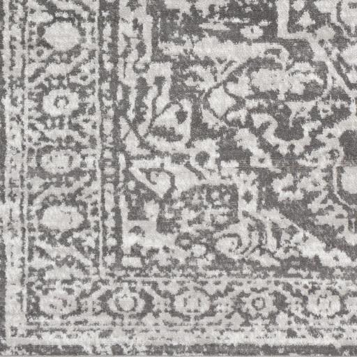 Surya Monte Carlo MNC-2300 2'7" x 7'3" Rug