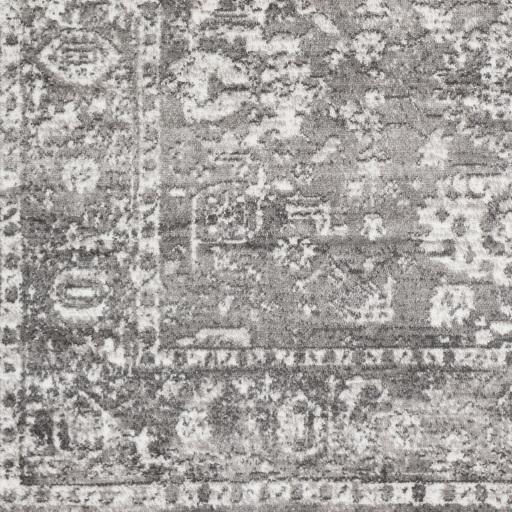 Surya Monte Carlo MNC-2311 2'7" x 7'3" Rug