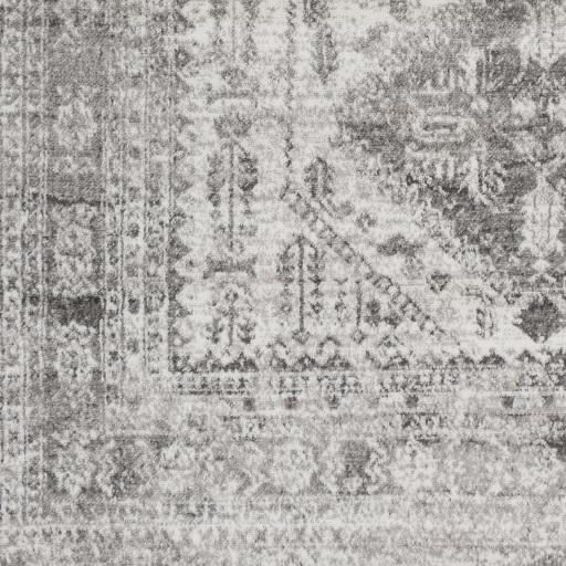 Surya Monte Carlo MNC-2314 2'7" x 14' Rug