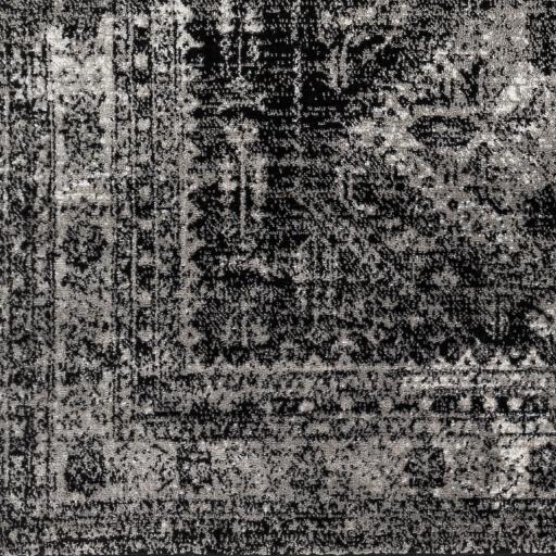 Surya Monte Carlo MNC-2340 Black Charcoal 8'10" x 12' Rug