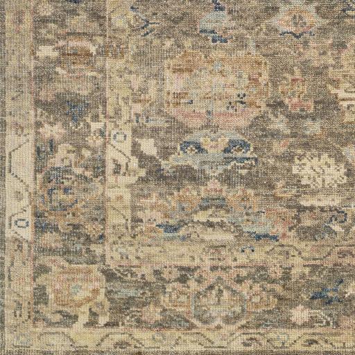 Surya Monterey MOY-2303 Beige Brown 2' x 3' Rug