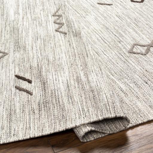 Surya Montezuma MTZ-2005 2' x 3' Rug