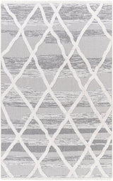 Surya Morocotton MCT-2306 2'6" x 7'3" Rug