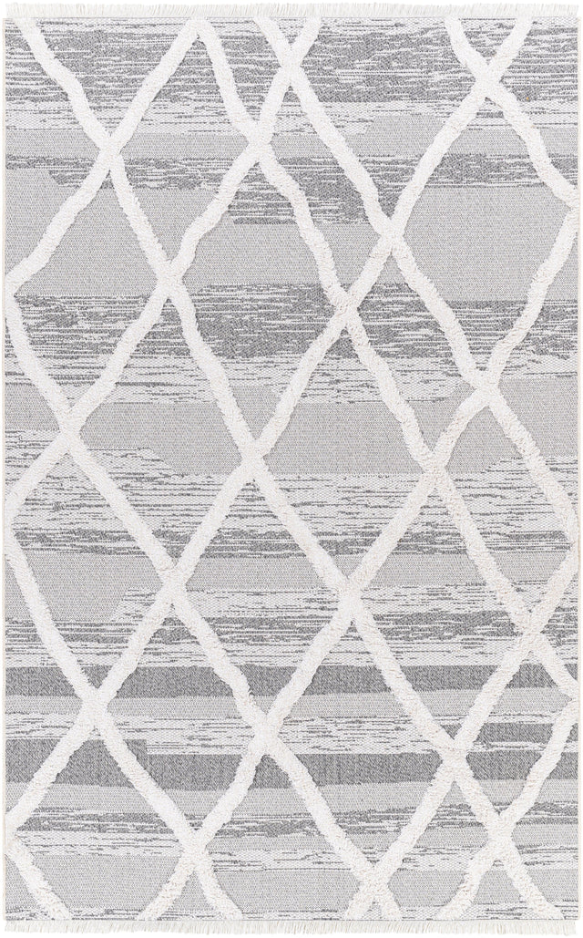 Surya Morocotton MCT-2306 2'6" x 7'3" Rug
