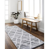 Surya Morocotton MCT-2306 2'6" x 7'3" Rug