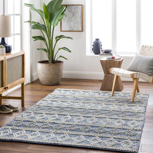 Surya Nadine NDD-2300 5' x 7'6" Rug