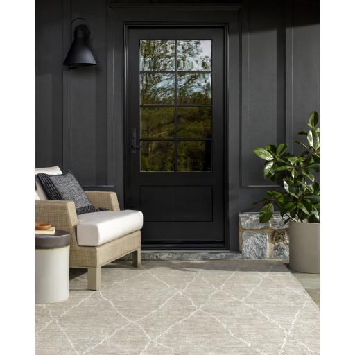 Surya Nalan NYL-2300 9' x 12' Rug