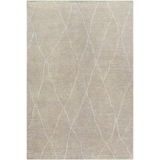 Surya Nalan NYL-2300 9' x 12' Rug
