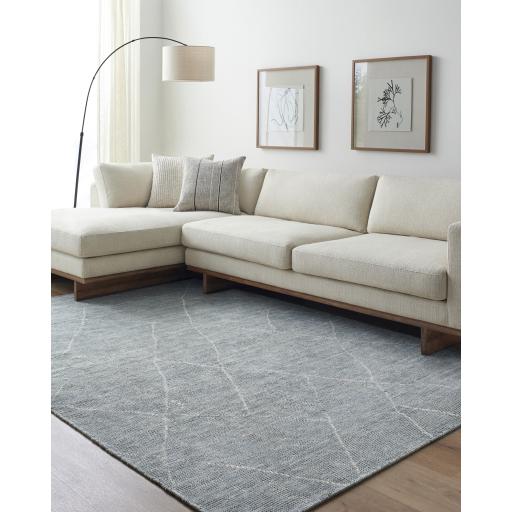 Surya Nalan NYL-2302 9' x 12' Rug